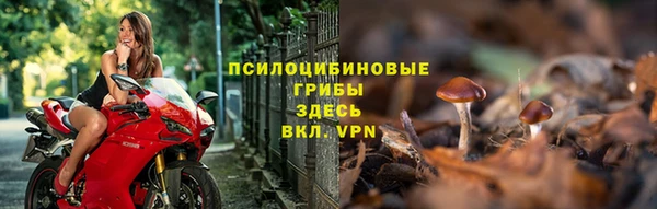 спайс Абаза