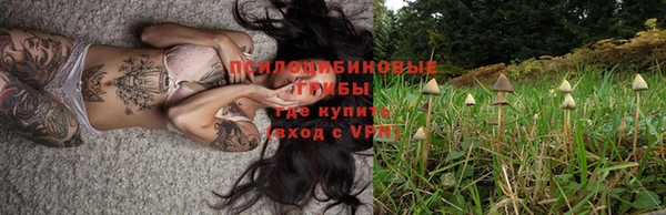 spice Абдулино